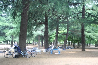 野川公園