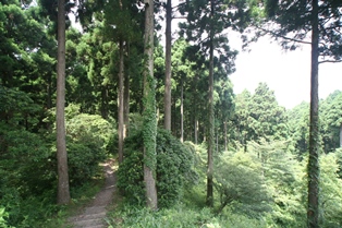 箱根やすらぎの森