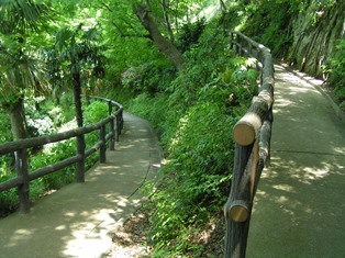 蘆花記念公園