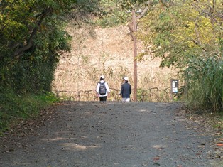 舞岡公園