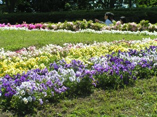 相模原公園 関東公園ガイド パークナビ