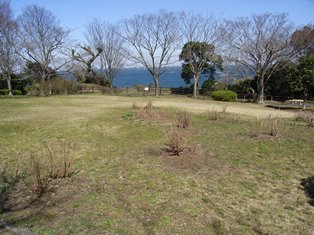 観音崎公園