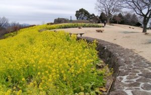 吾妻山公園