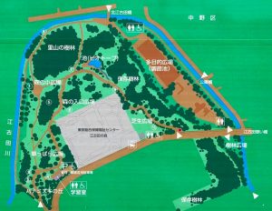 江古田の森公園マップ