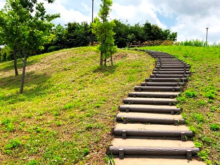 二子玉川公園 関東公園ガイド パークナビ