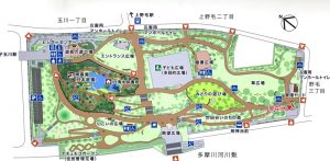 二子多摩川公園マップ