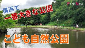 こども自然公園