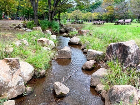 所沢航空記念公園 関東公園ガイド パークナビ