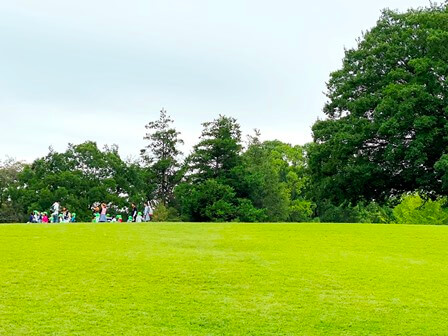 所沢航空記念公園 関東公園ガイド パークナビ