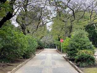 新井薬師公園