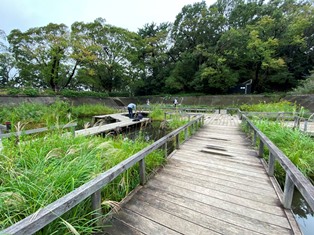 多摩川台公園