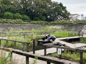 多摩川台公園