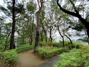 多摩川台公園