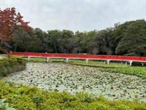 岩槻城址公園