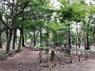 芦花公園