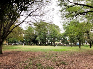 芦花公園