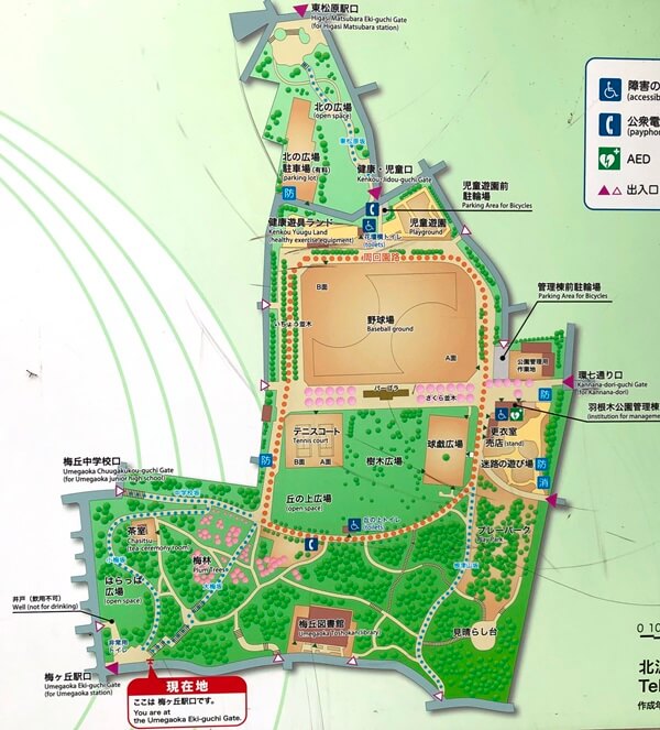 羽根木公園マップ
