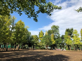 羽根木公園