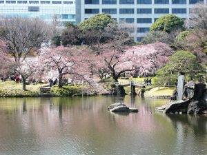 日本庭園