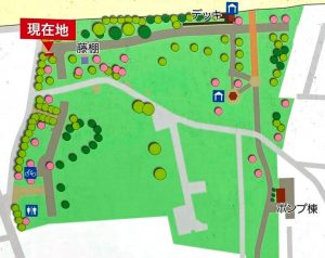 東伏見公園マップ