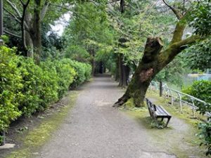 武蔵関公園