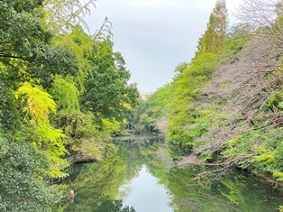 武蔵関公園