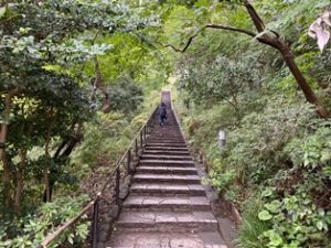 田園調布せせらぎ公園