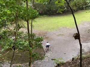 田園調布せせらぎ公園