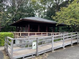 田園調布せせらぎ公園