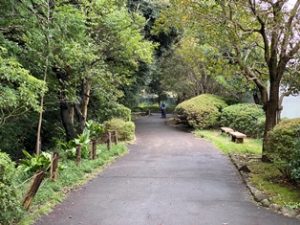 田園調布せせらぎ公園