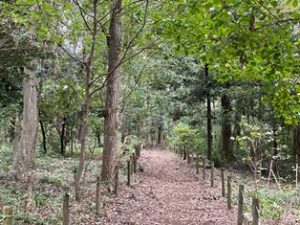 秋葉の森総合公園