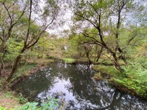 秋葉の森総合公園