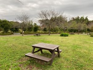 秋葉の森総合公園