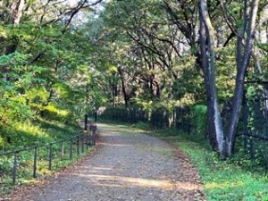 長池公園