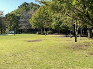 長池公園