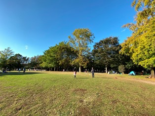 井草森公園