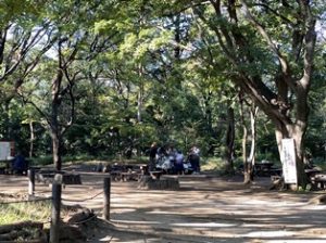 駒場野公園