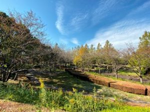 みさと公園