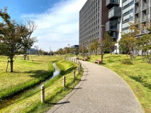 にいじゅくみらい公園