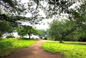 西郷山公園