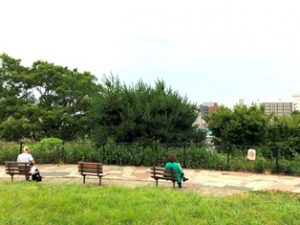 西郷山公園