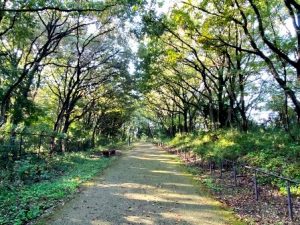 長池公園