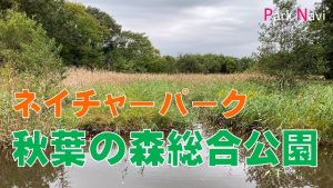 秋葉の森総合公園