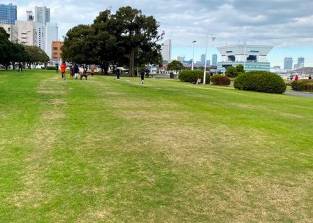 山下公園でデート カップルで楽しむおすすめデートプラン