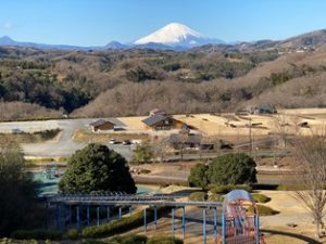 中井中央公園