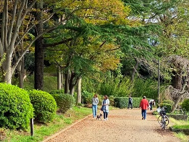 千葉公園  関東公園ガイド [パークナビ]