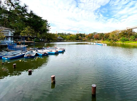 千葉公園 ボートに乗れる公園でピクニック