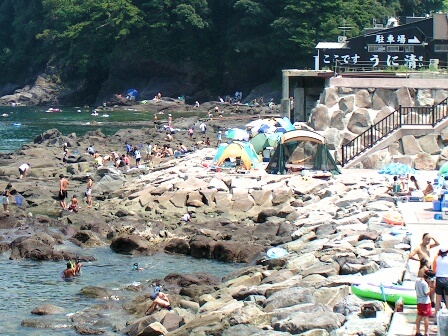 琴ケ浜海岸